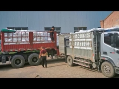 염화 폴리에틸렌 CPE 135A PVC 인팩트 변조기 PVC 파이프 흰색 분말